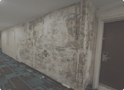 commercial mold remediation services