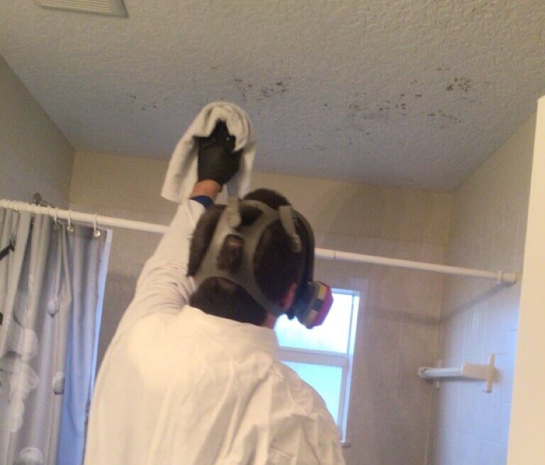 Mold Remediation Specialist Cleaning Mold on Ceiling