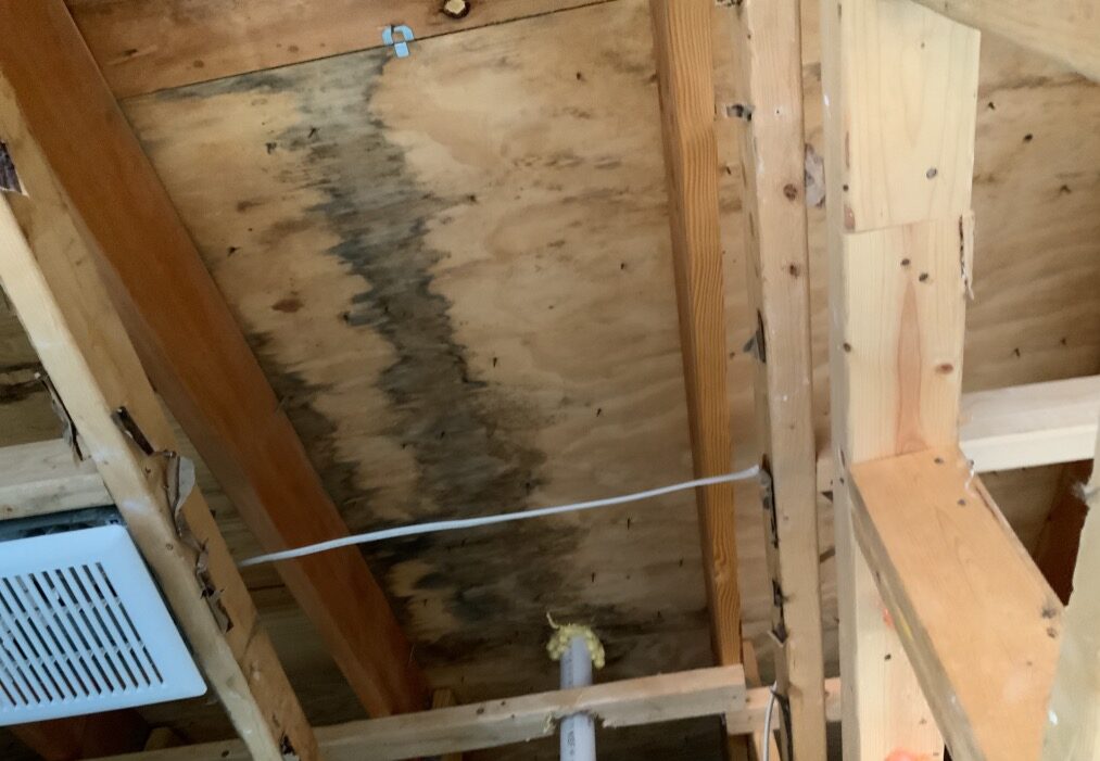 Attic Water Damage Service by Rytech Restoration