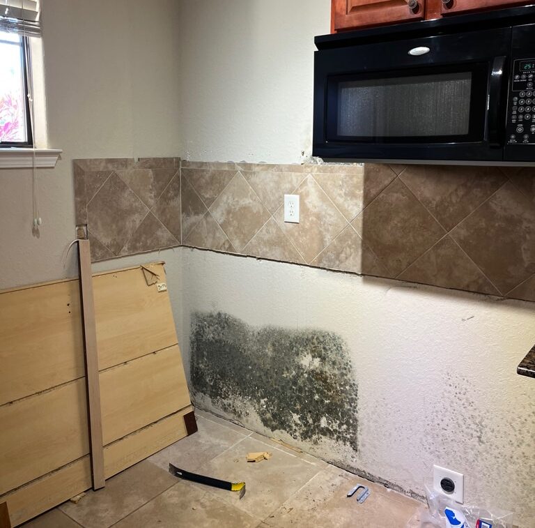 Mold Growth Requiring a Mold Inspector to Diagnose the Problem
