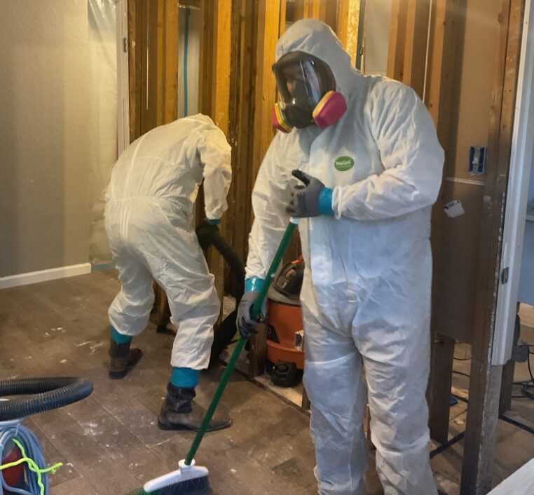 Mold Socialists cleaning mold that is not a DIY mold project.