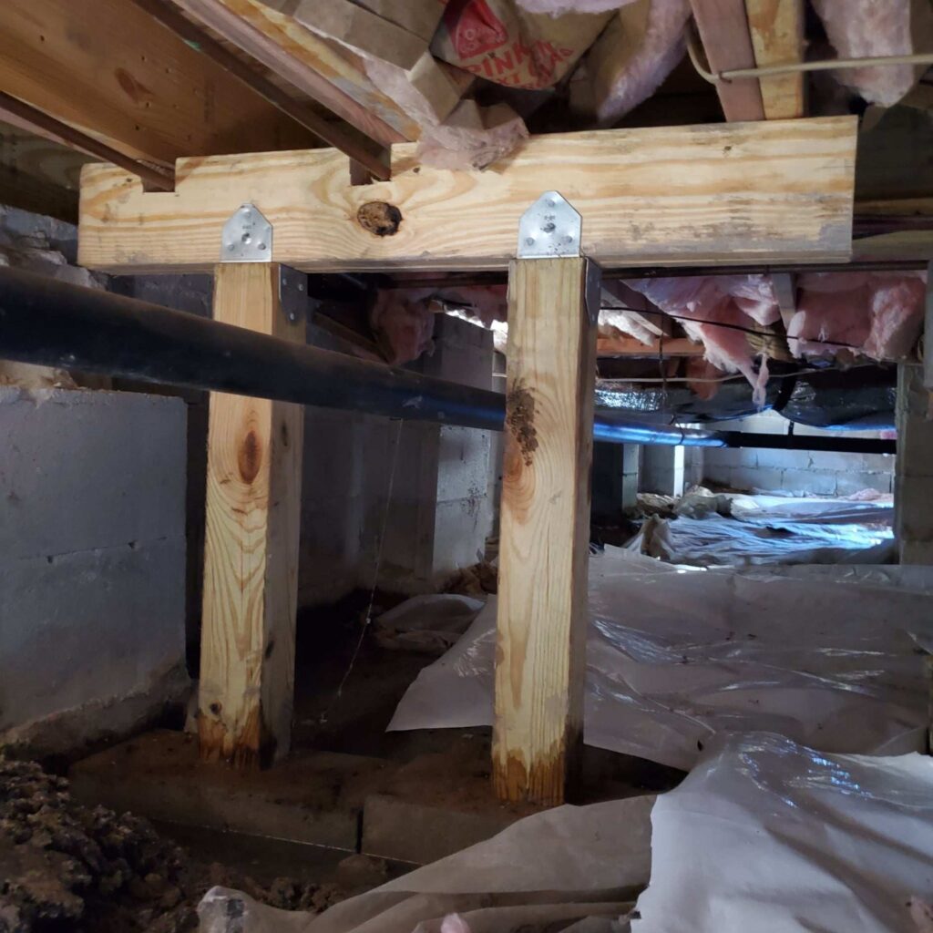 Water Damage in Crawl Space Causing Mold Growth