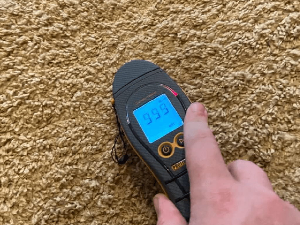 Moisture Inspection Showing Wet Carpet After Water Damage