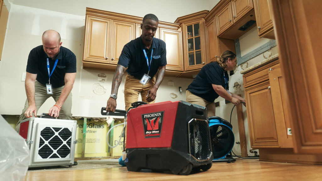 Water Damage Restoration Services by Certified Rytech Restoration Technicians