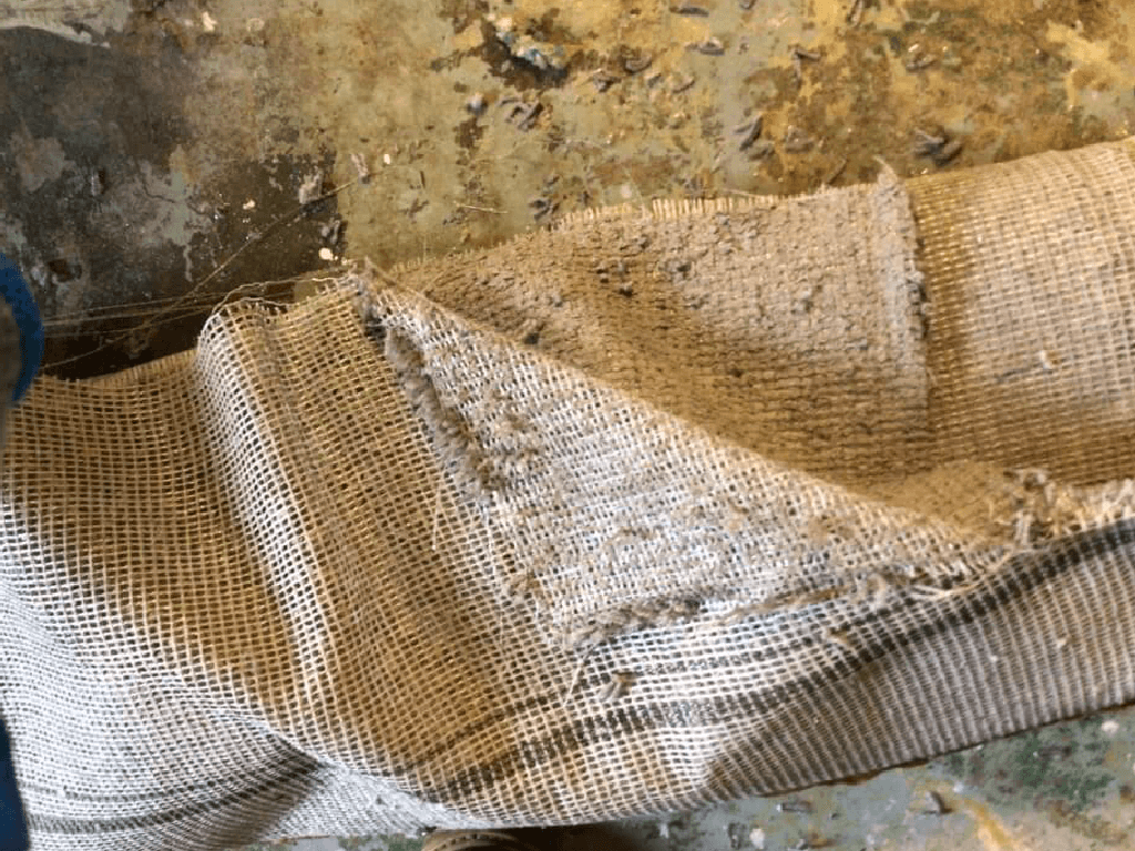 Water Damage Carpet